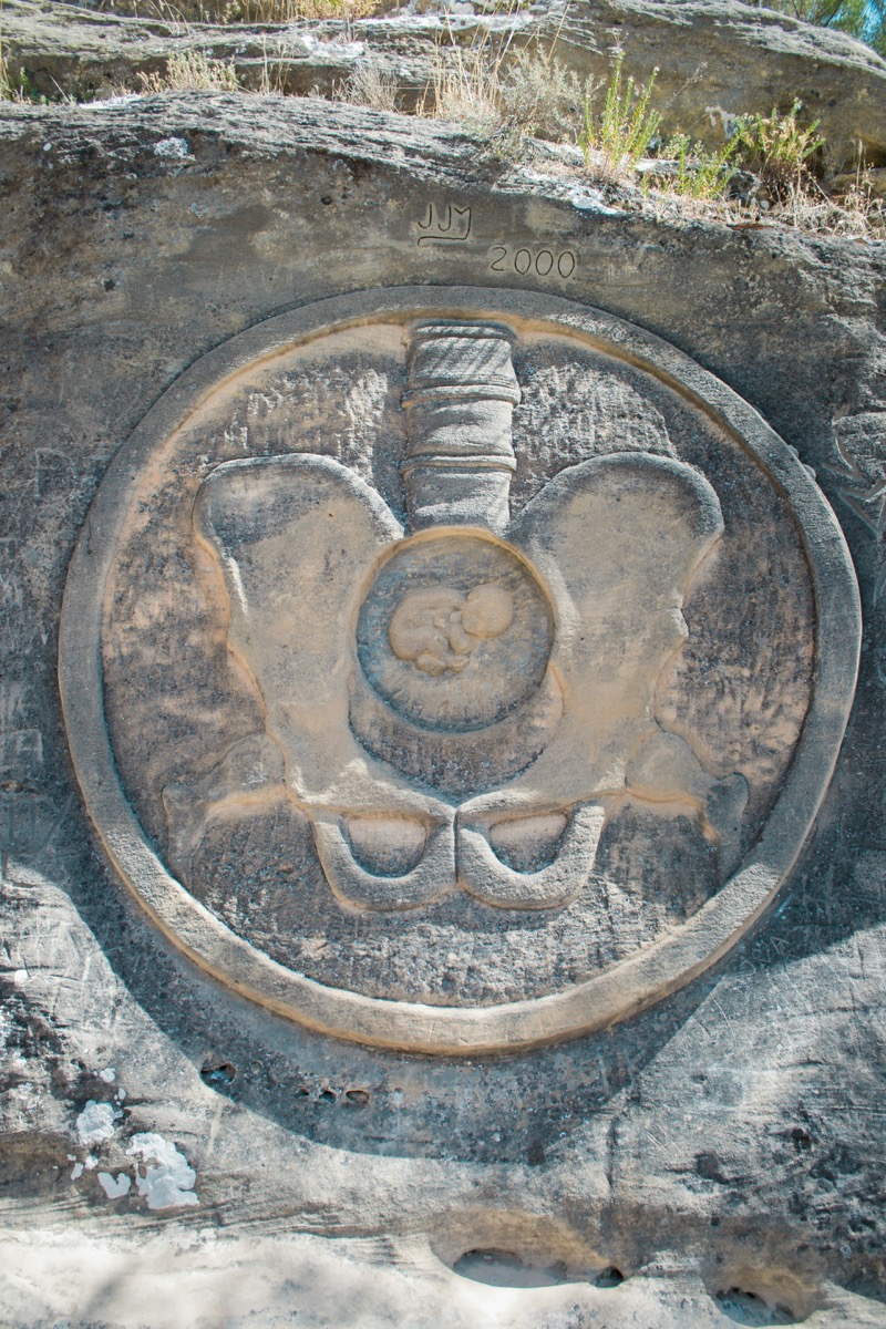 Fókuszált Tanfolyam